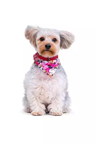 Cute Dog Figurine STL 3D Print Pet Miniature Model
