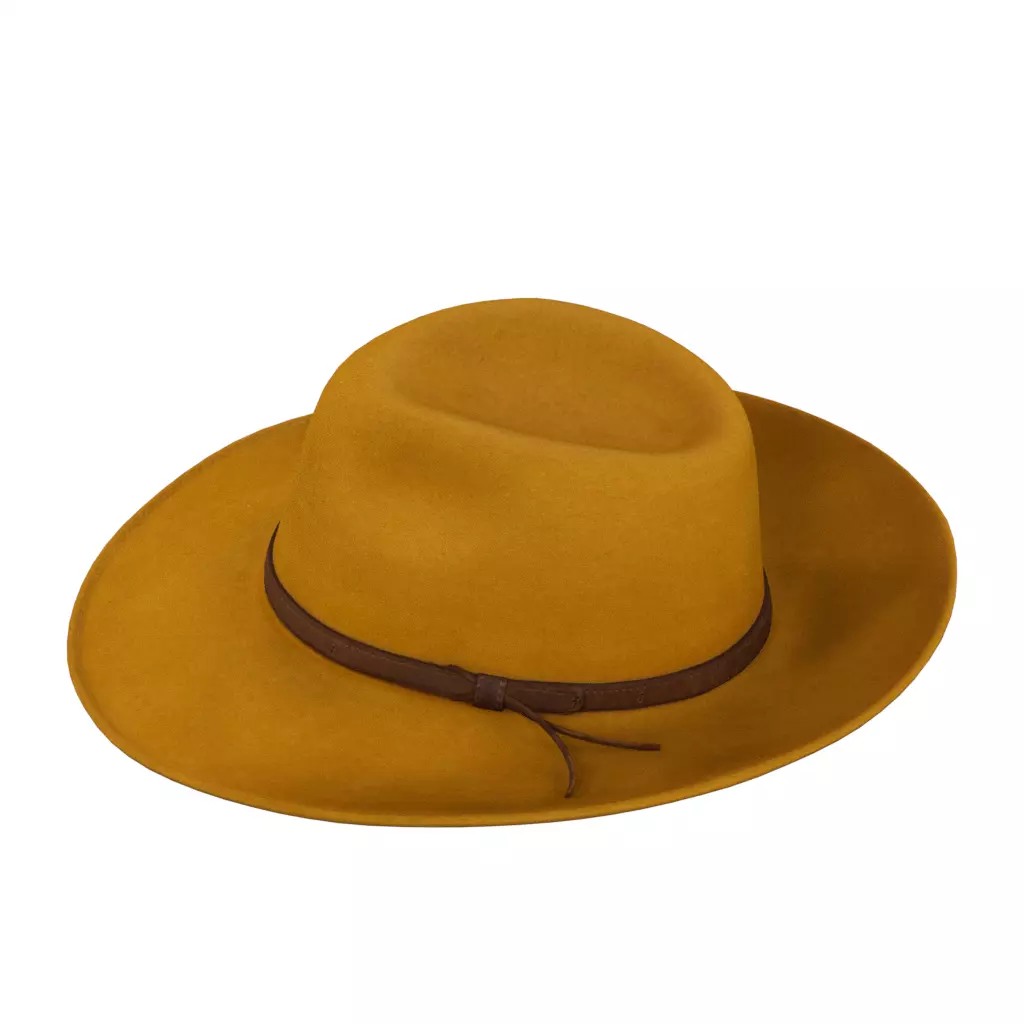 Goorin Bros Mustard Wide Brim Fedora Hat Low-poly 3D model