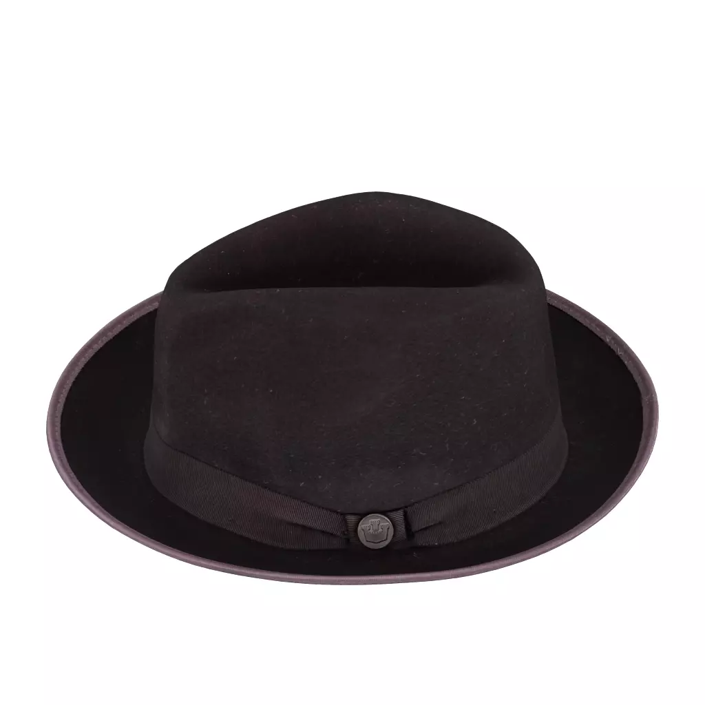 Goorin Bros River Wide Brim Merino Wool Felt Fedora Brown Purple Low-poly 3D model