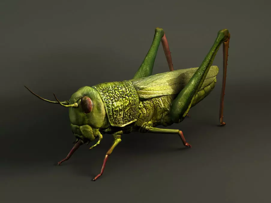 grasshopper 3D model_0
