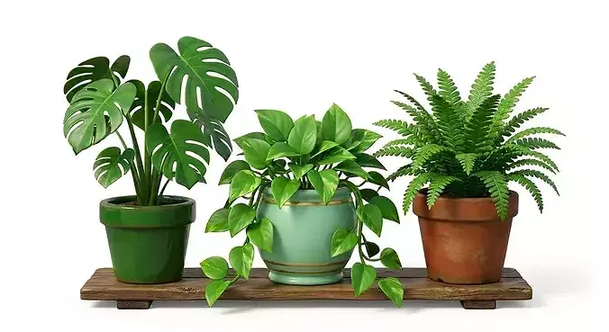 Three Plants Pot Vases 3D Model