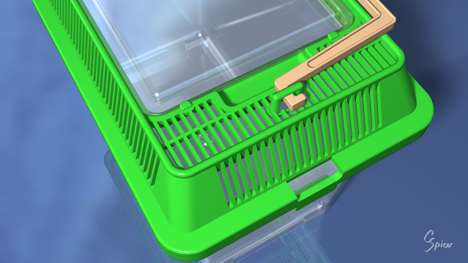 Small Plastic Terrarium 3D model_7