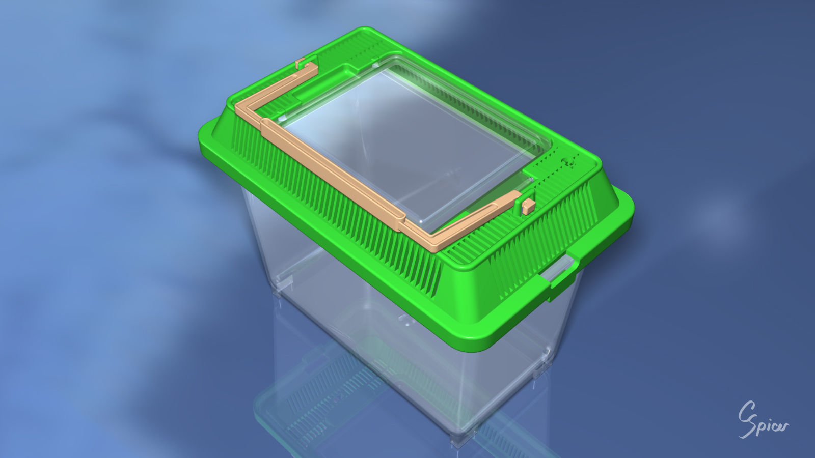 Small Plastic Terrarium 3D model_2