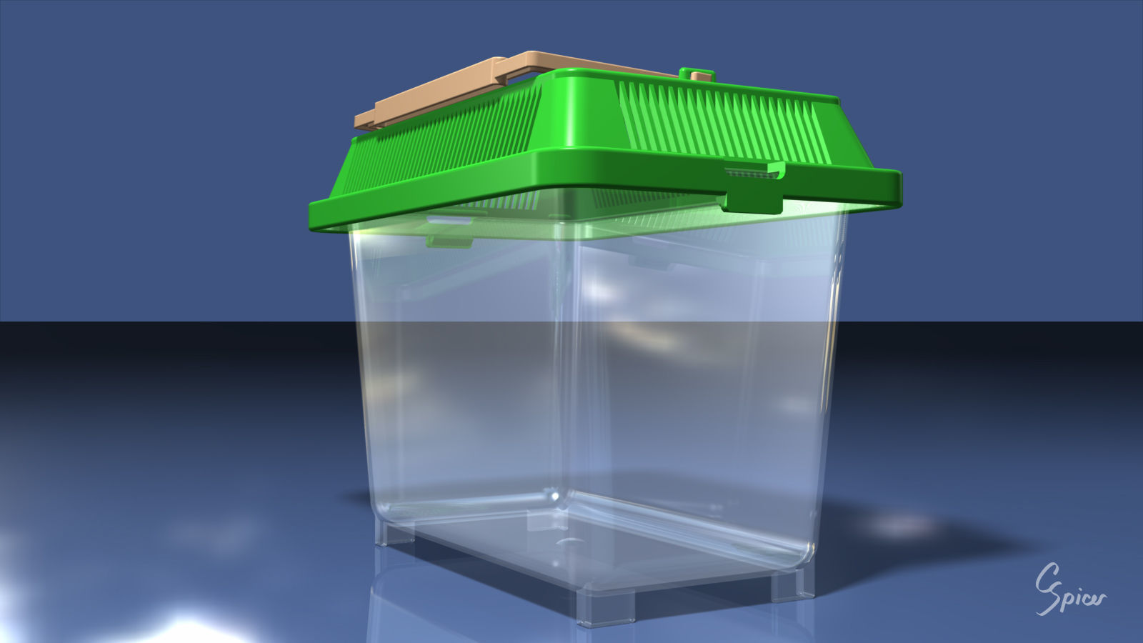 Small Plastic Terrarium 3D model_4