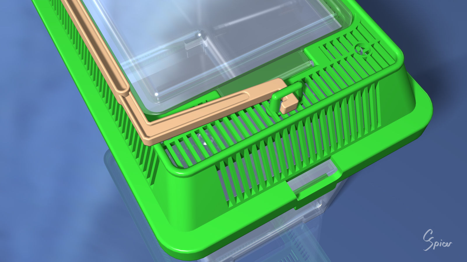 Small Plastic Terrarium 3D model_6