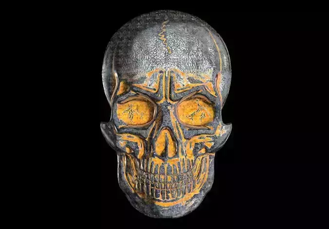 The bas-relief of anatomically correct skulls 3D print model