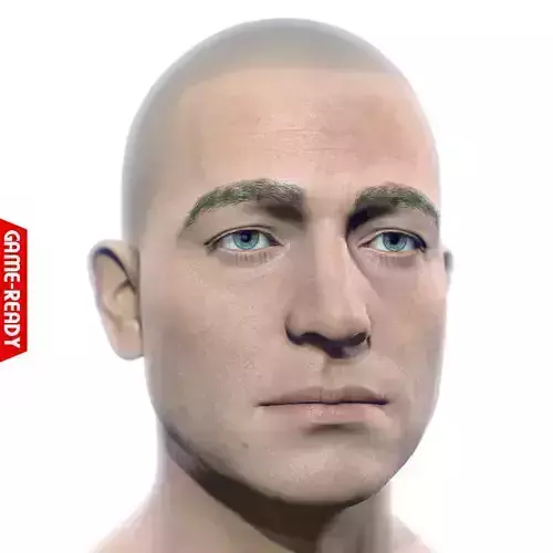 Average Caucasian Male Head Low-poly 3D model