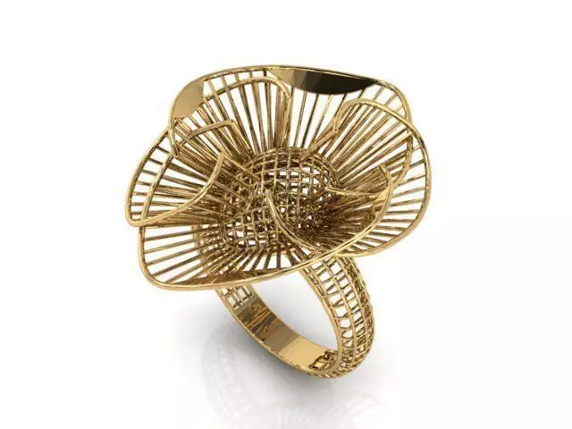 Ring ultra vision 3D print model_0