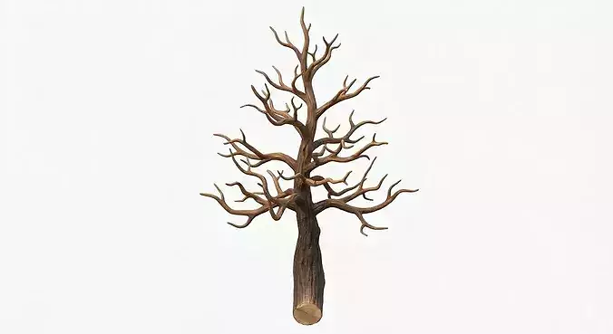 Gnarled Dead Tree 3D Model