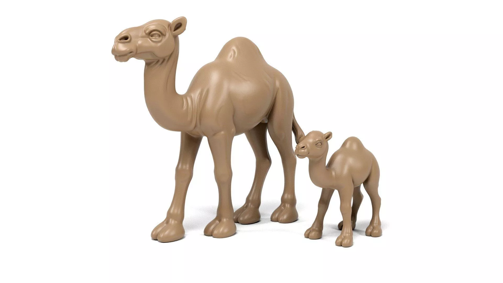 Camels 3D print model