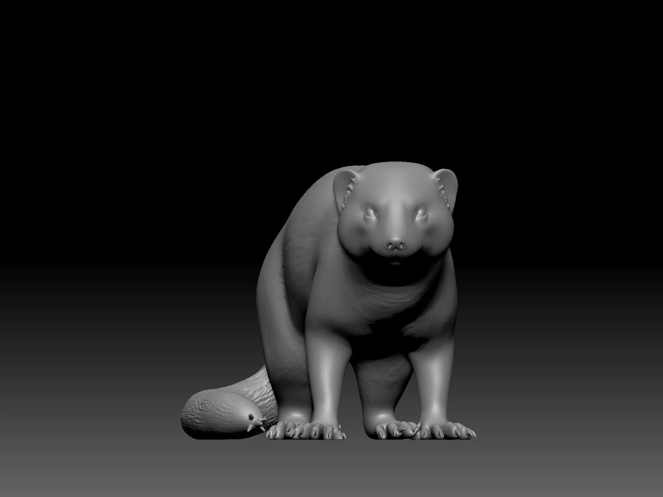 slender mammal coati or mongoose 3D print model