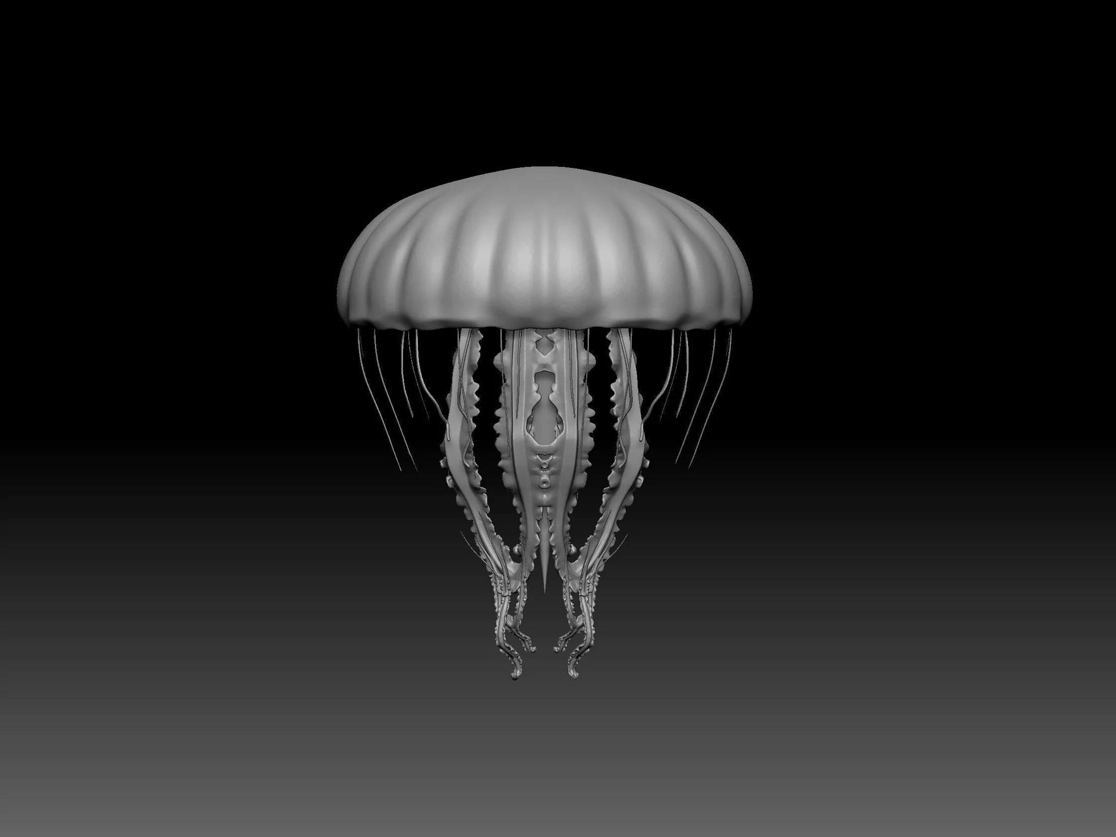 jellyfish 3D print model