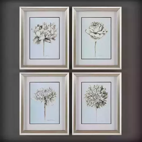 Picture Frames