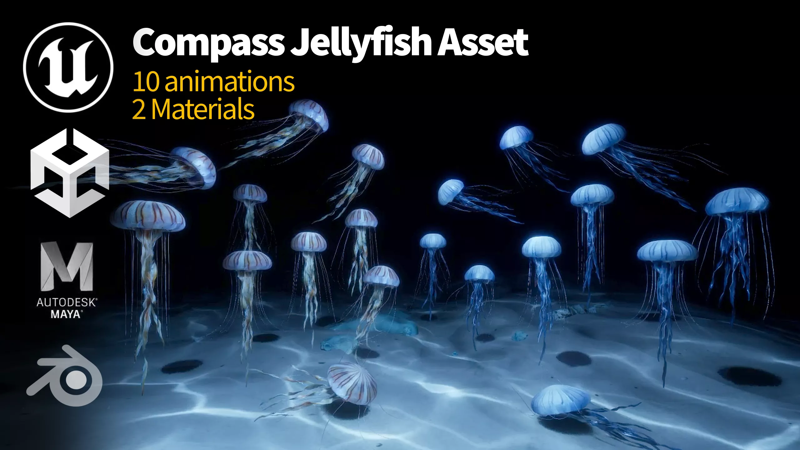 Jellyfish Compass Low-poly 3D model