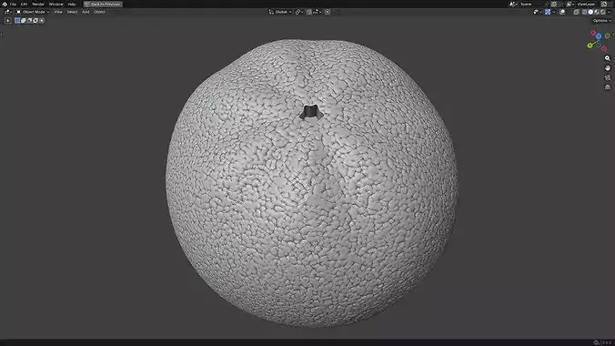 Orange Fruit 3D print model 7