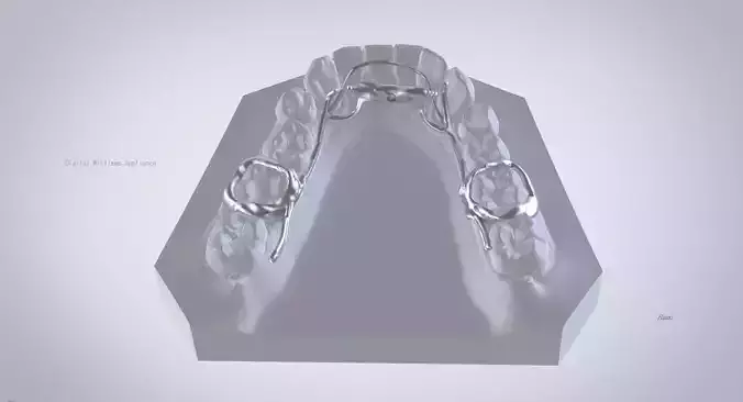 Digital Williams Appliance