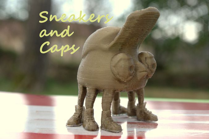 sneakers and cap 3D print model