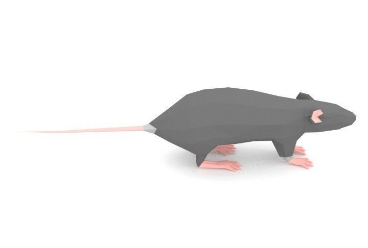 Rat LOW POLY Low-poly 3D model_2