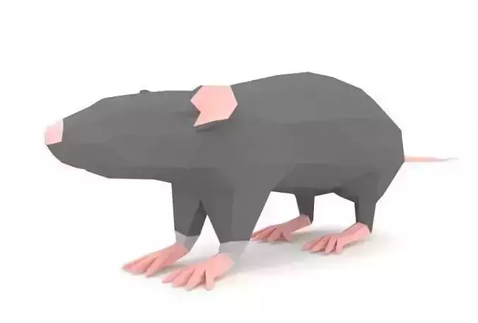 Rat LOW POLY Low-poly 3D model