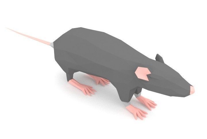 Rat LOW POLY Low-poly 3D model_1