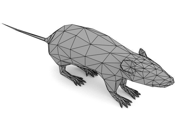 Rat LOW POLY Low-poly 3D model_4