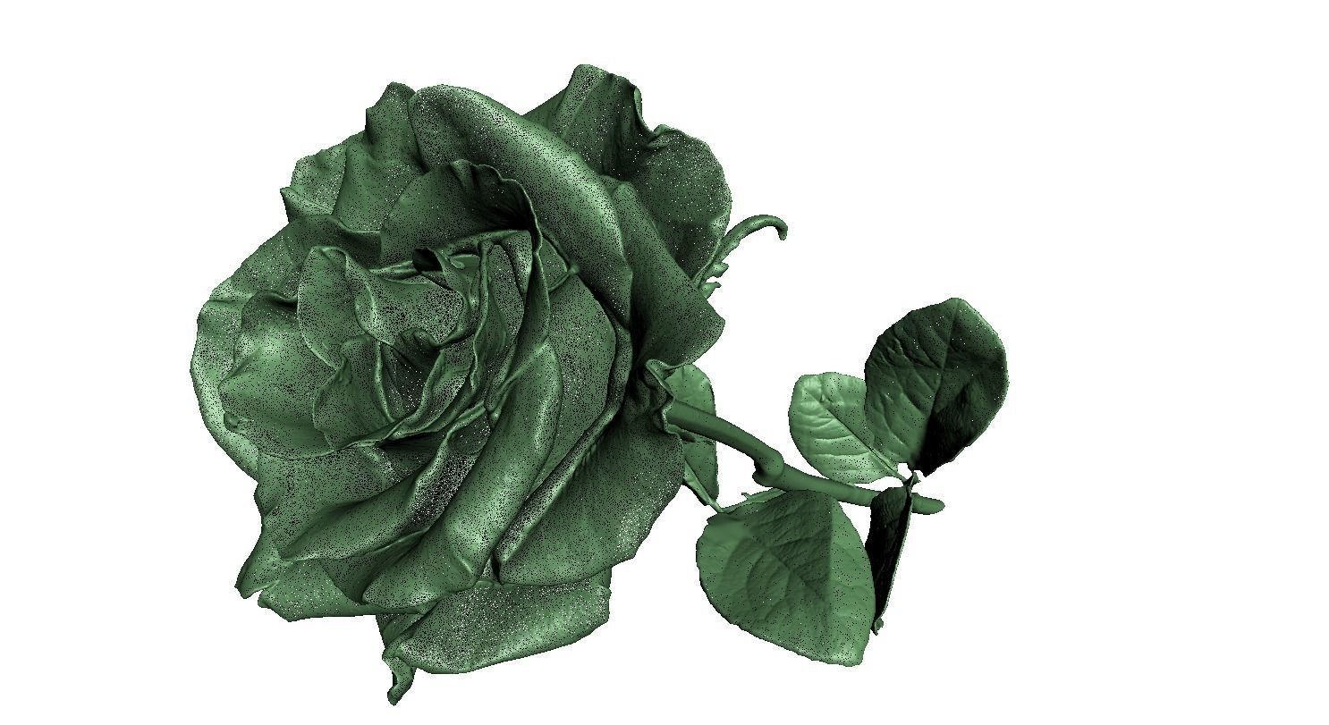 Flower Rose Low-poly 3D model_11