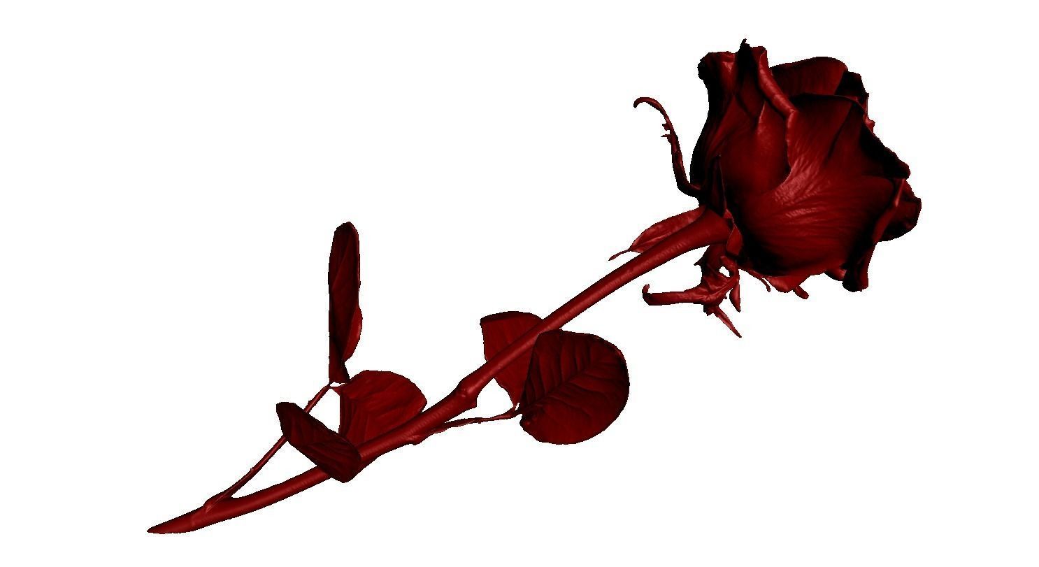 Flower Rose Low-poly 3D model_9