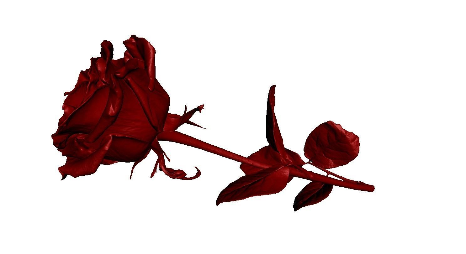 Flower Rose Low-poly 3D model_8