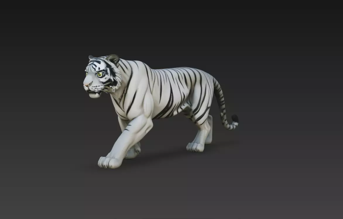 White Tiger Walking Forward Realistic Animal STL Model 3D print model