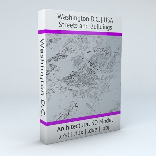 Washington DC Streets and Buildings 3D model