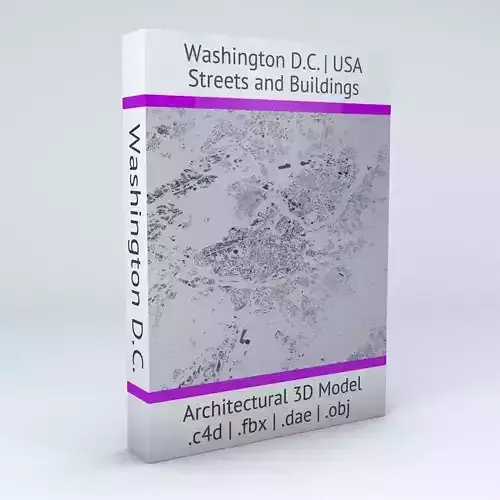 Washington DC Streets and Buildings 3D model