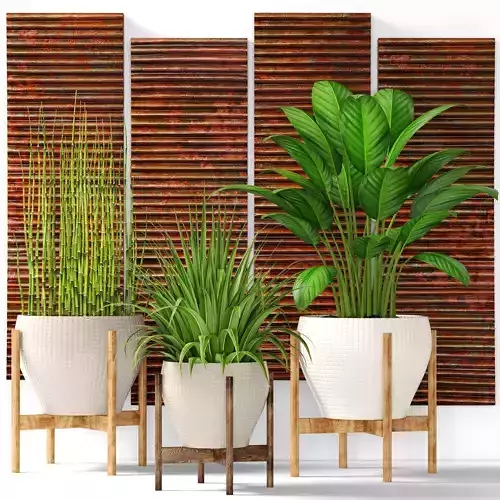 Plants collection pot 3D model