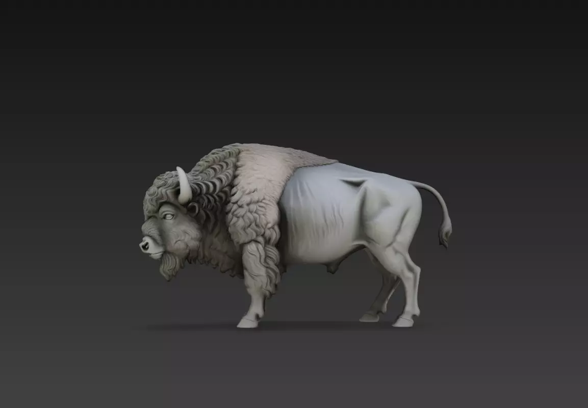 Bison Buffalo Realistic Wildlife Animal Sculpture STL Model 3D print model