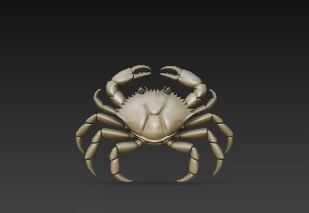 Crab Realistic Marine Animal Sculpture STL Model 3D print model