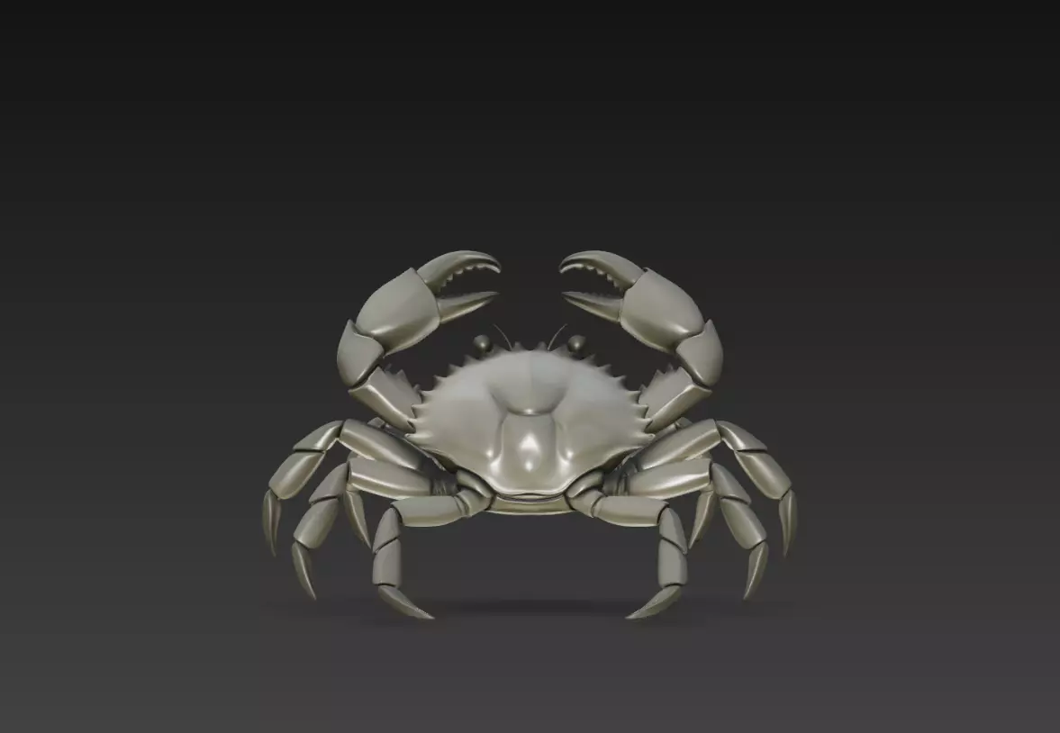 Crab Front View Symmetrical Realistic STL Model 3D print model