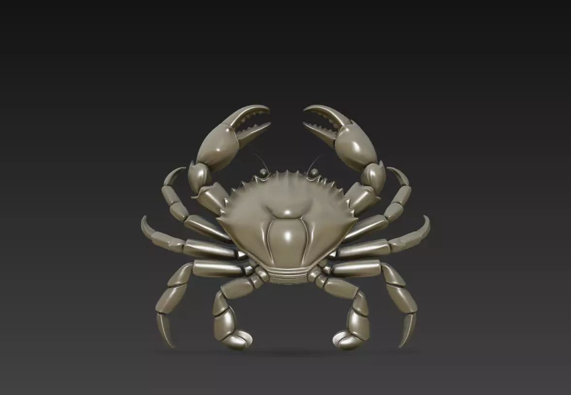 Crab Smooth Shell Pose Realistic Marine Animal STL Model 3D print model