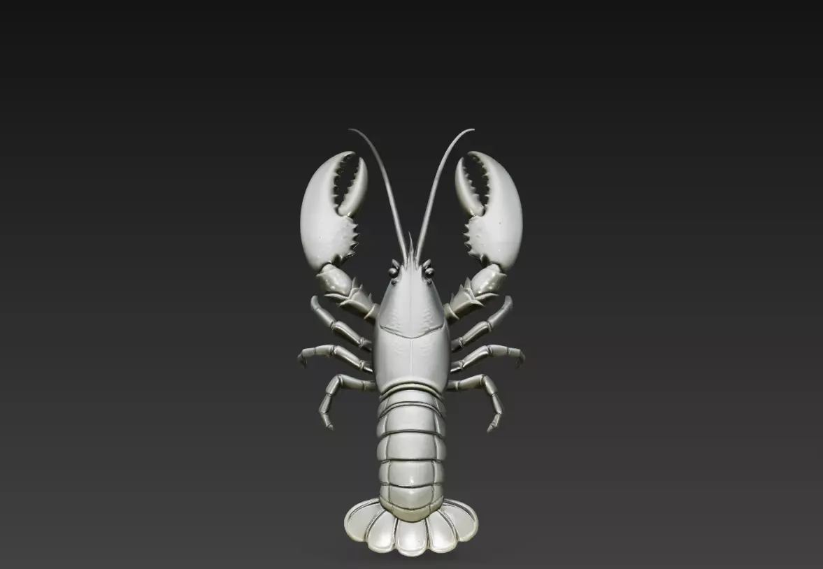Stylized Lobster Marine Animal 3D Print STL Model 3D print model