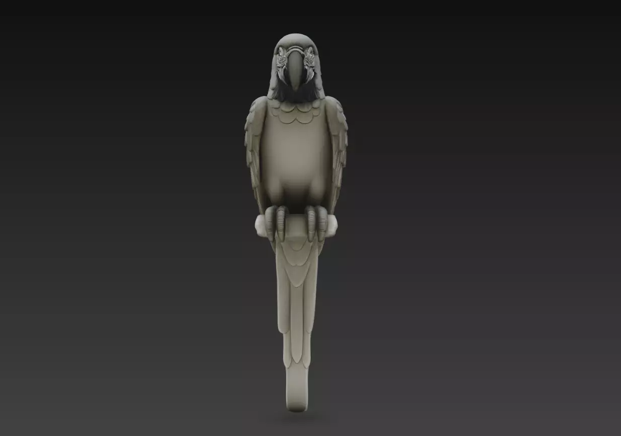 Parrot Wall Hanging Sculpture Tropical Bird Relief 3D Model 3D print model