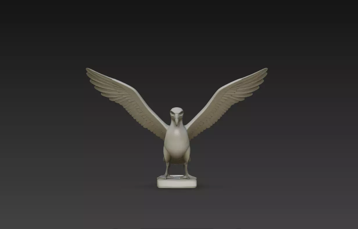 Seagull Wings Raised Landing Pose Sculpture STL 3D Model 3D print model