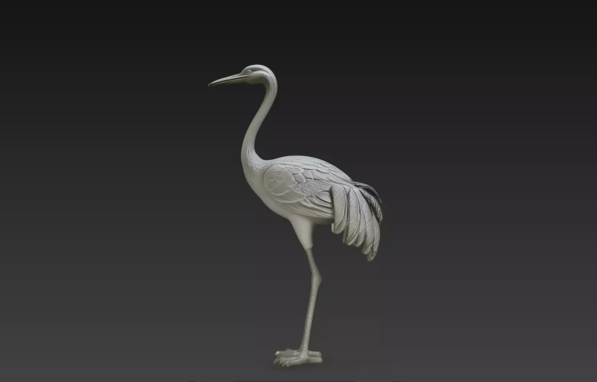 Standing Crane One Leg Pose Realistic Bird STL 3D Print 3D print model