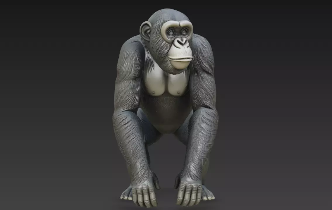 Chimpanzee Detailed Fur Walking Primate STL Model 3D print model