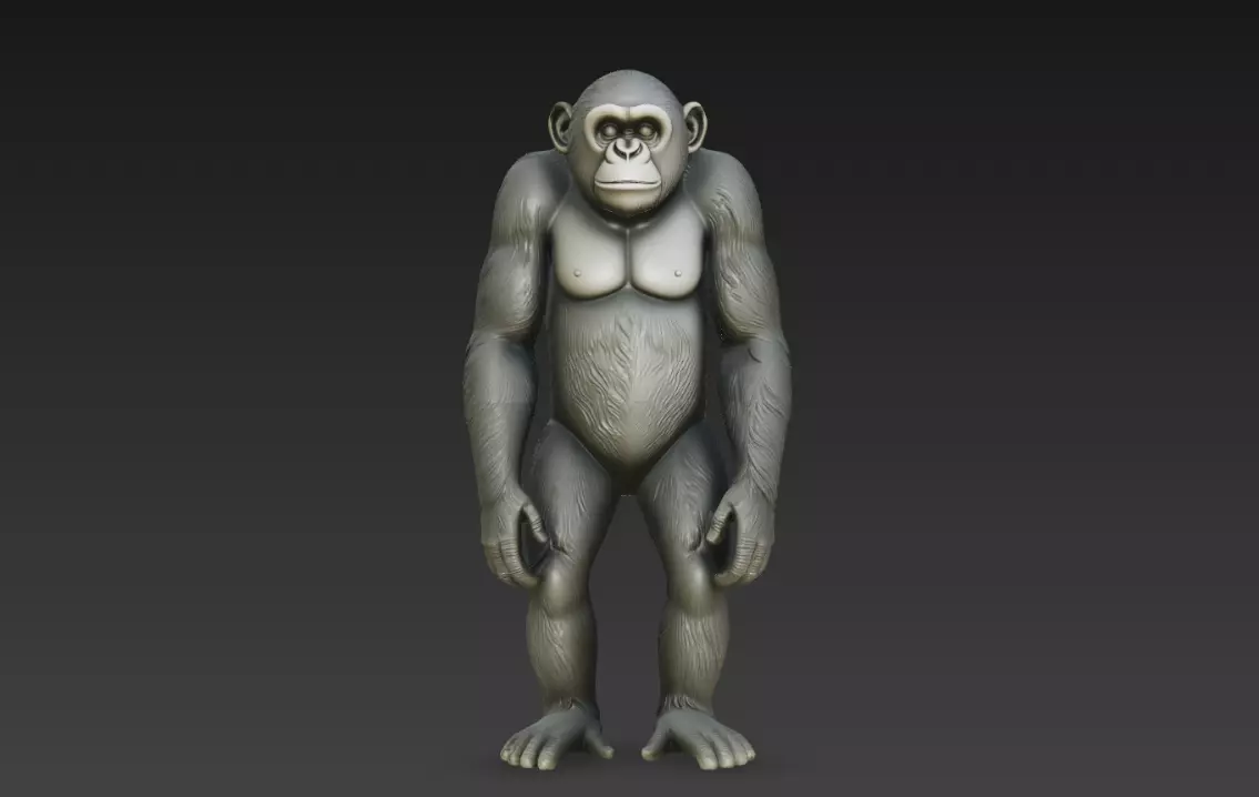 Chimpanzee Standing Full Body Realistic Primate STL 3D print model