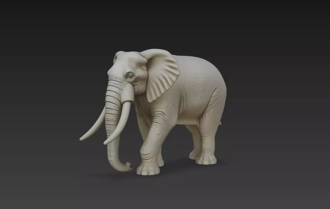 Elephant Walking Pose Realistic Wildlife Animal STL Model 3D print model