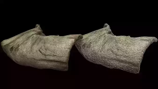 Ancient Driftwood - 3dscan - High resolution