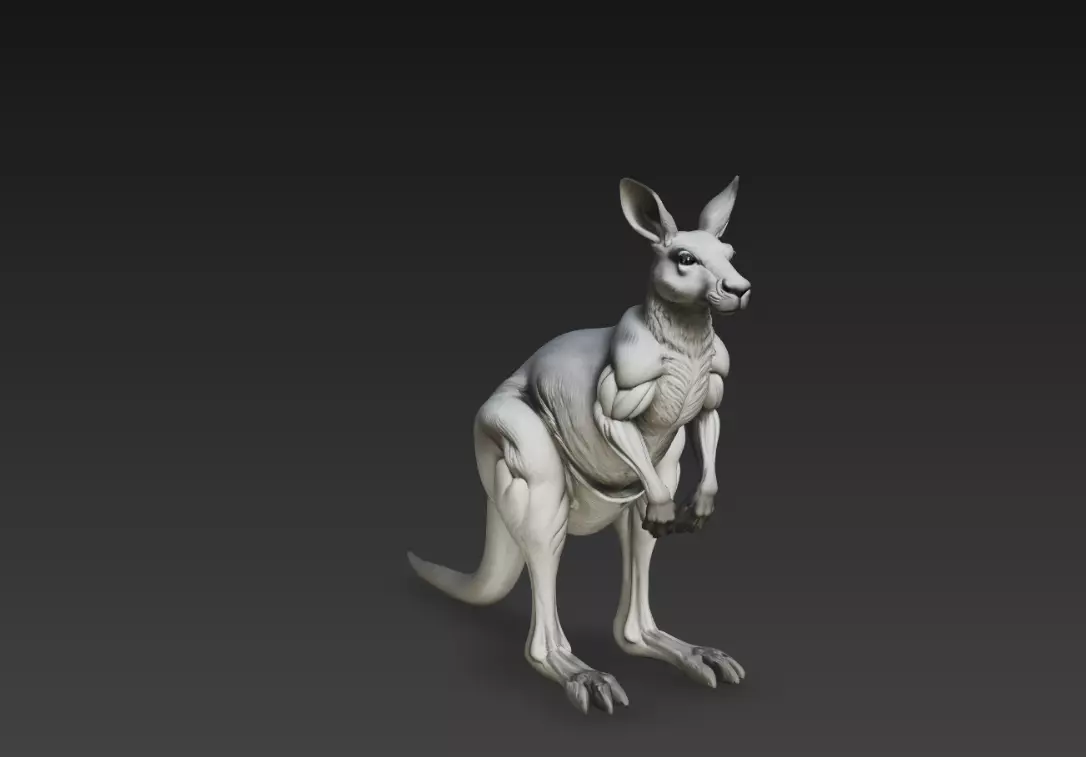 Detailed Kangaroo Realistic Wildlife Sculpture 3D Print 3D print model