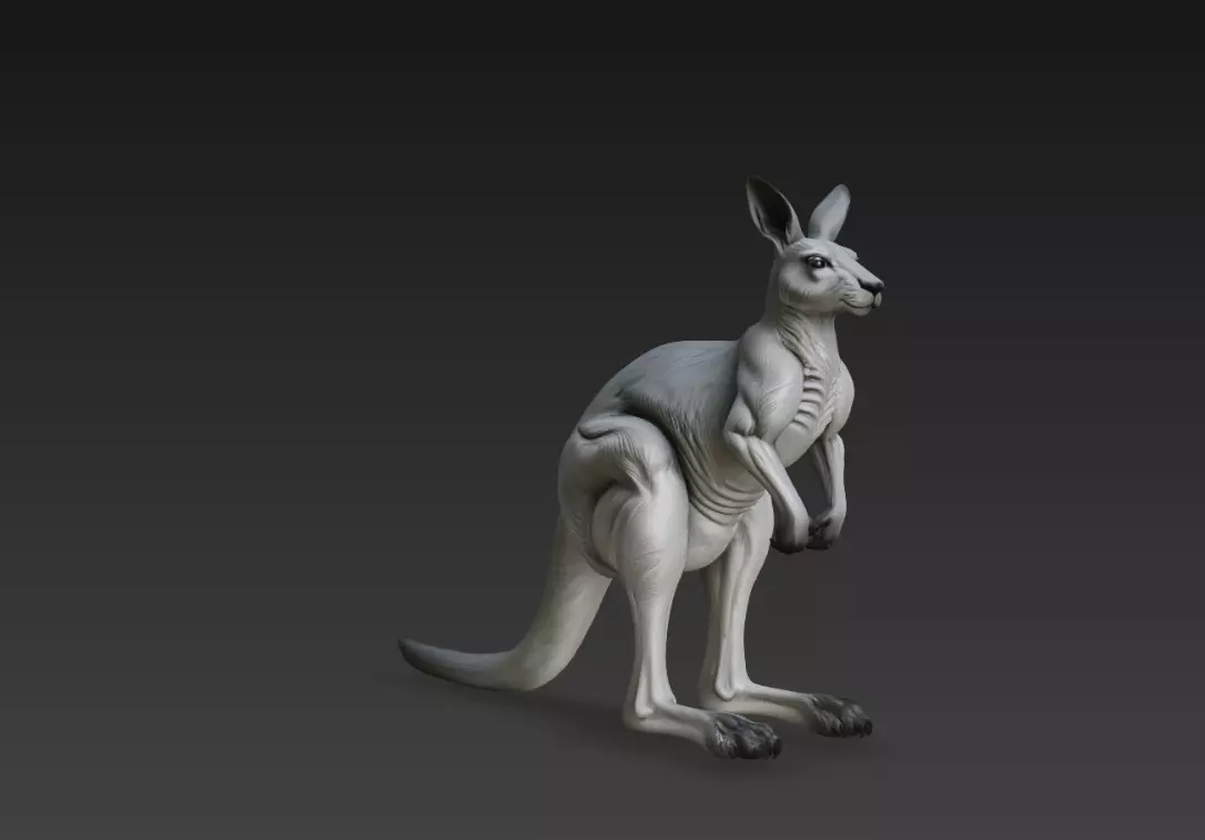 Realistic Kangaroo Animal Sculpture Side Pose STL Model 3D print model