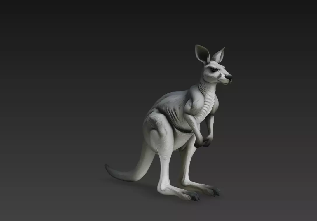 Realistic Kangaroo Animal Sculpture Standing Pose STL Model 3D print model