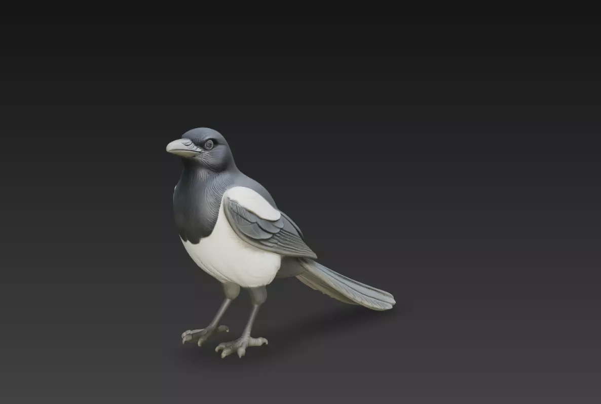 Magpie Bird Sculpture Realistic Standing Bird STL Model 3D print model