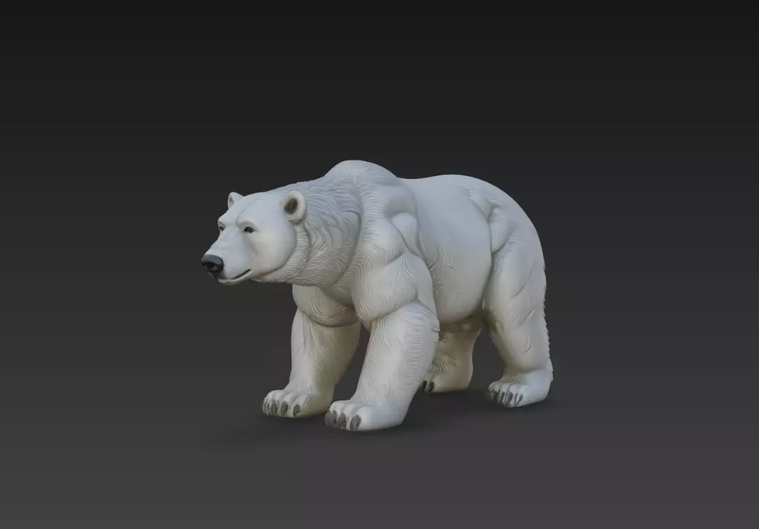 Walking Polar Bear Realistic Arctic Animal STL Model 3D print model