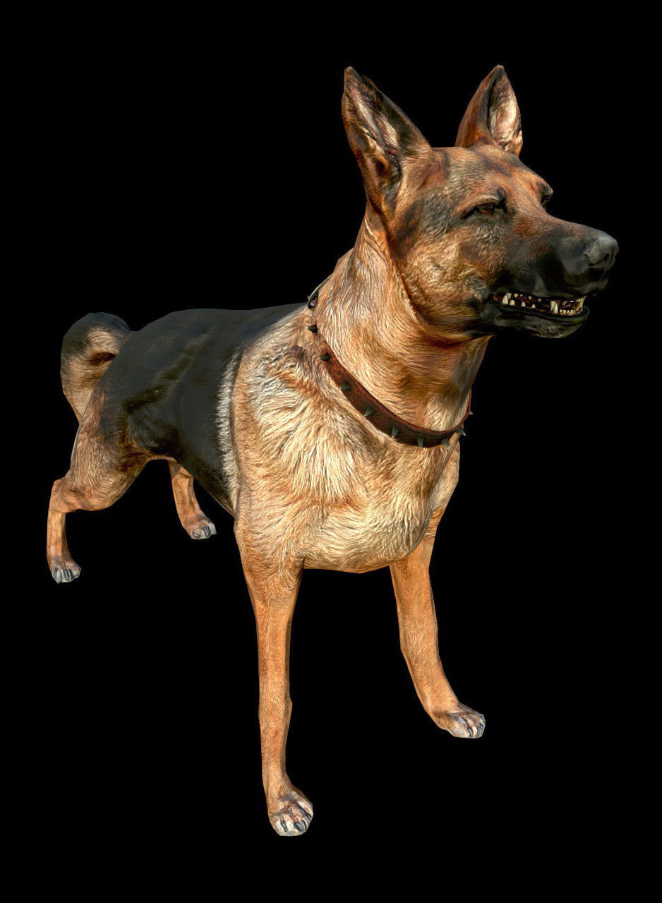 Dog K-9 - PBR - Textured Low-poly 3D model_1